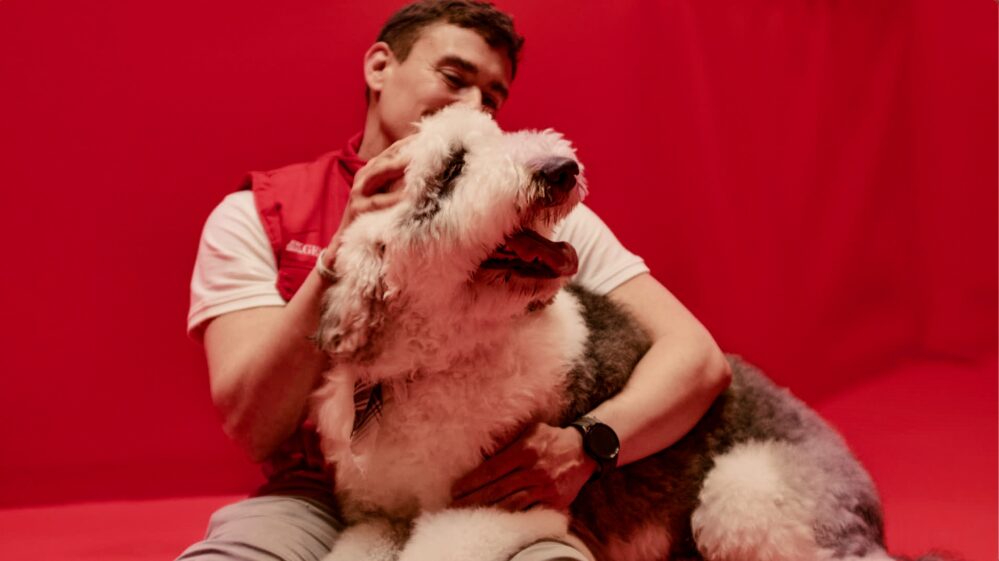 Generali lanza un seguro de mascotas y ha reforzado su compromiso con el bienestar animal con la iniciativa experimental “Pausa en Fallas”.