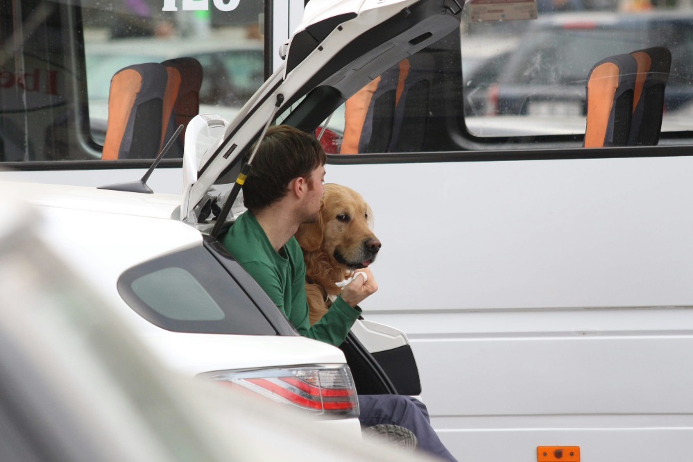 Viajar con mascotas exige planificación, normativa actualizada y medidas de seguridad. Caservet ofrece claves un desplazamiento seguro.