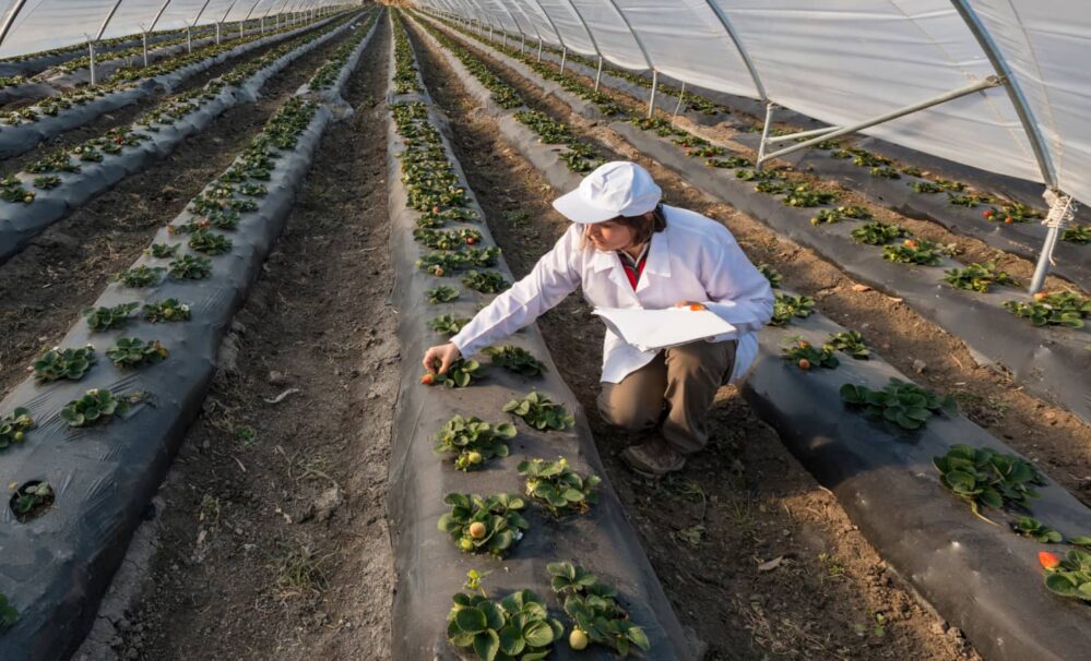 Grupo Generali reduce un 48,5% sus emisiones operativas e invierte 8.700 millones en soluciones climáticas en 2025.