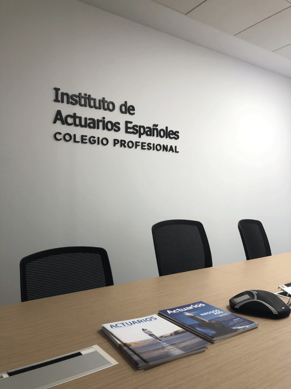 El Instituto de Actuarios considera que las cuentas nocionales y los sistemas mixtos son las reformas más viables para garantizar la sostenibilidad del sistema público de pensiones.