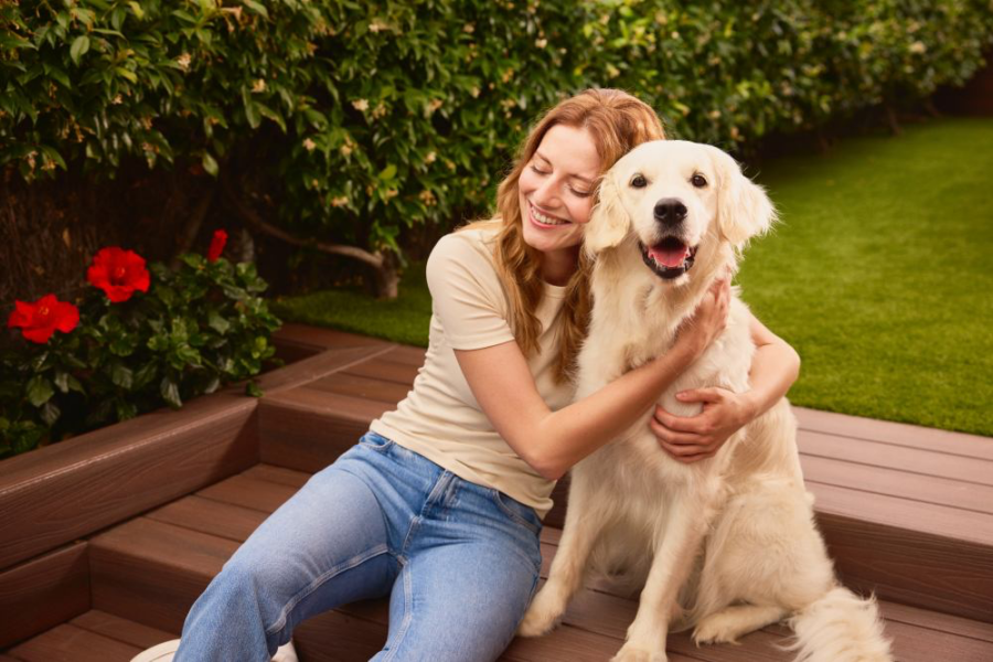 CaixaBank lanza MyBox Mascotas, un seguro para perros y gatos