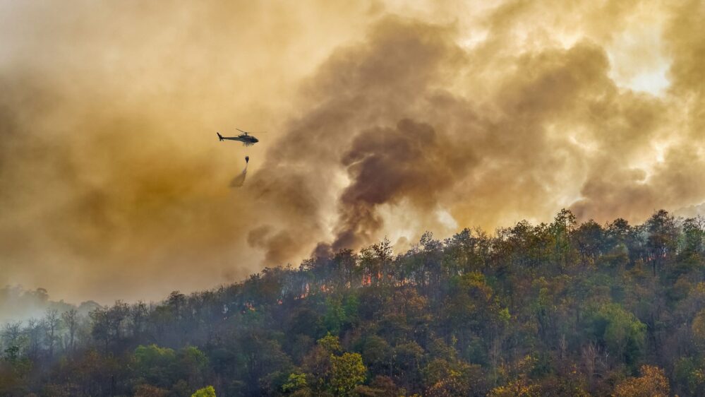 Allianz refuerza su operativo especial para atender a los asegurados afectados por los incendios