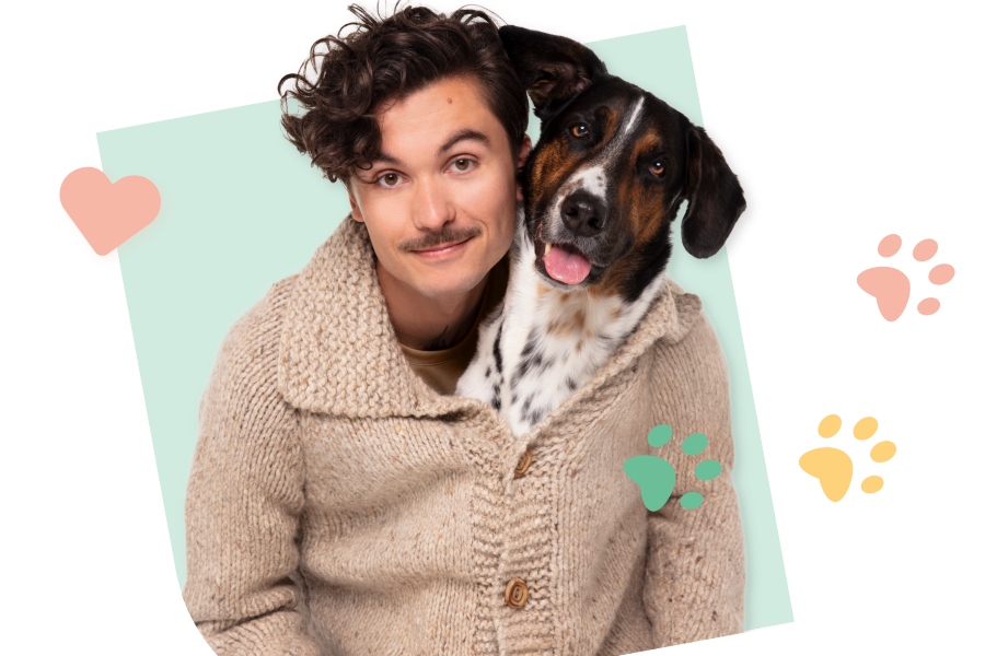 Los perros representan la mitad de las mascotas registradas en España