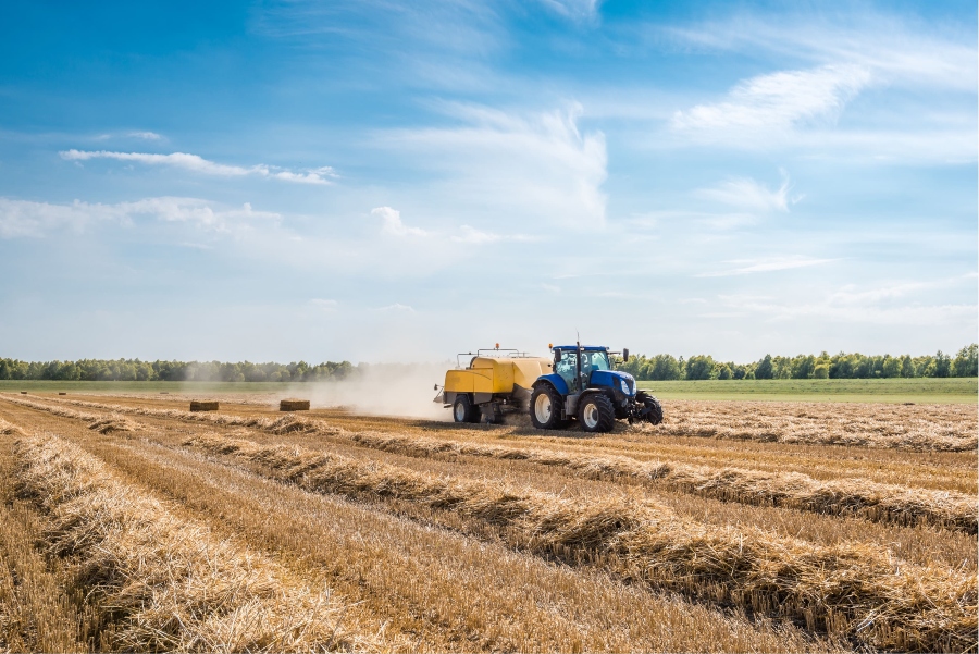 Reale Seguros refuerza su seguro agropecuario ante el aumento del riesgo de incendios