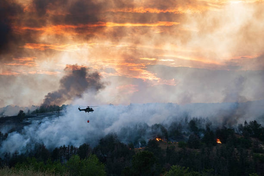 Carlos Romera, CEO de Real Cober, analiza el papel del seguro tras la extinción de un incendio forestal