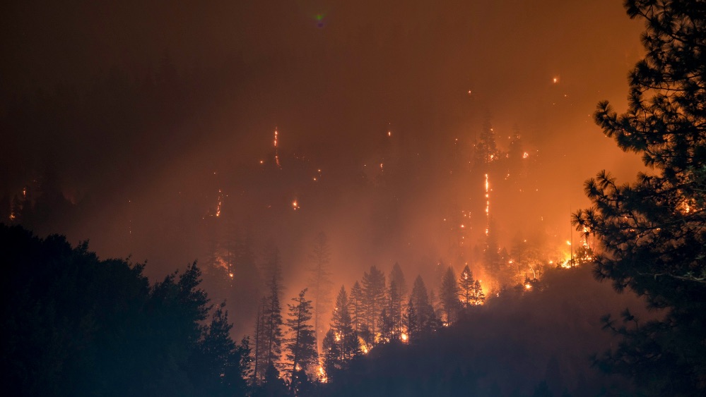 GlobalData alerta de que el aumento de los incendios forestales estrecha los márgenes de las aseguradoras y amenaza la asegurabilidad de zonas de alto riesgo.