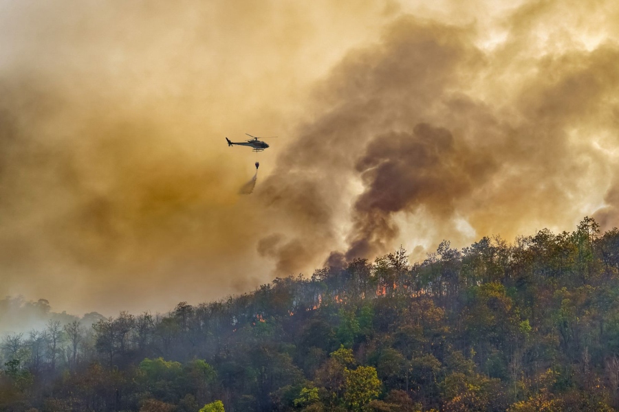 Allianz Seguros supera los 1,2 millones de avisos preventivos por incendios forestales